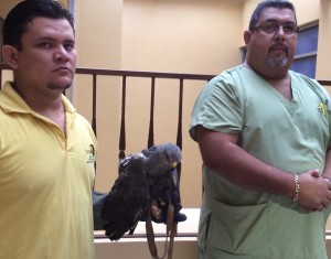 Guillermo Van Tuyl de Funapa, llamó a la rápida aprobación de la ley.