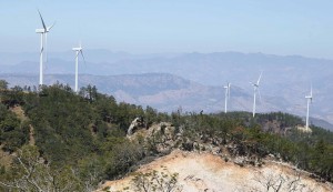 El parque eólico generará 50 megas.