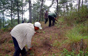 Cuadrillas realizan labores de ronda para evitar incendios.