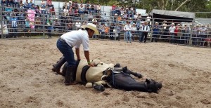 Una de las actividades que mas atrajo fue la monta de caballos