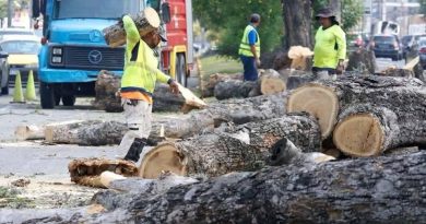 Vecinos detienen ecocidio ejecutado por alcaldía sampedrana