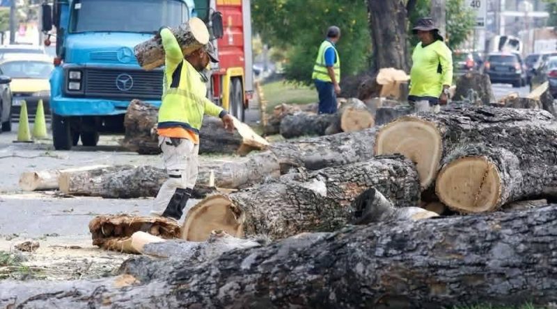 Vecinos detienen ecocidio ejecutado por alcaldía sampedrana