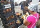 Exportaciones de Rambutan a EE.UU y Europa se fortalecen